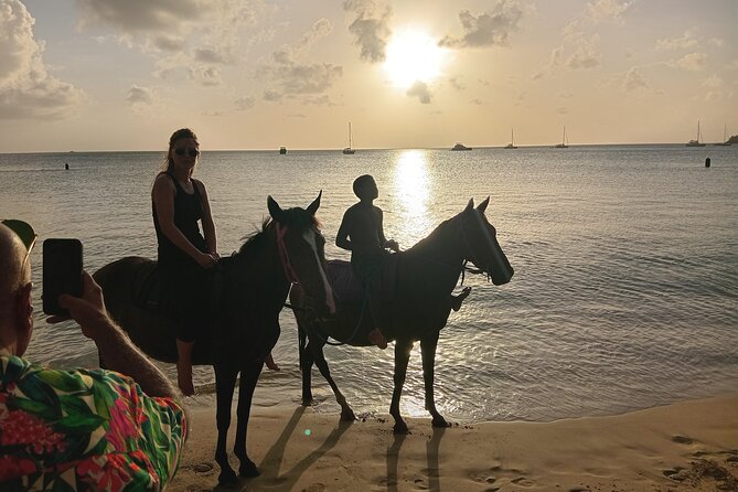 2 Hour Horseback Riding Sunset Tour with Dore's Riding Stable - The signature moment, swimming with the horses at sunset