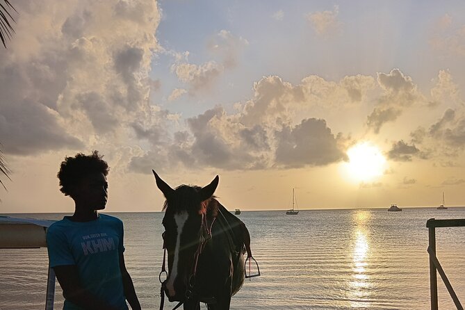 2 Hour Horseback Riding Sunset Tour with Dore's Riding Stable - Who this tour is best for, and who should pass