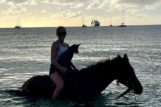 2 Hour Horseback Riding Sunset Tour with Dore's Riding Stable - Price and value: is $120 for 2 hours worth it?