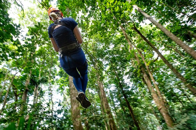 Adrena-Line Zipline, St. Lucia - The Forest Story: Nature Interpreter Stops That Make It Feel More Than a Ride