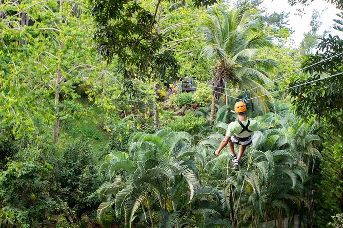Adrena-Line Zipline, St. Lucia - Timing, Waiting, and Weather: What to Expect in the Real Rainforest