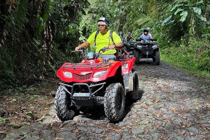 ATV Rainforest Adventure in St. Lucia - Grand Eden Estate stop: birds, seasonal fruit, and guided nature learning