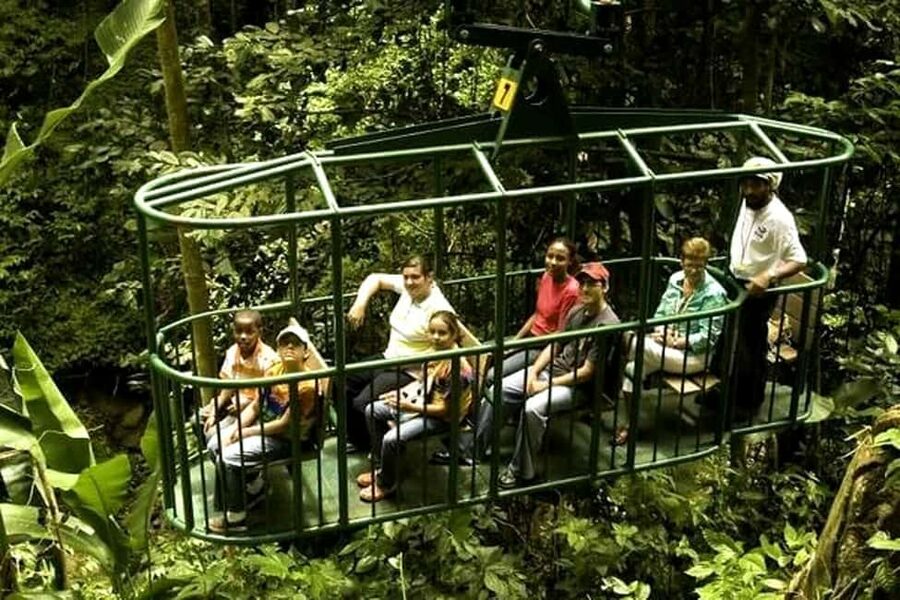 Babonneau/Castries: Rainforest Zip Line, Tram, and Hike Tour - Key things I’d circle before you go