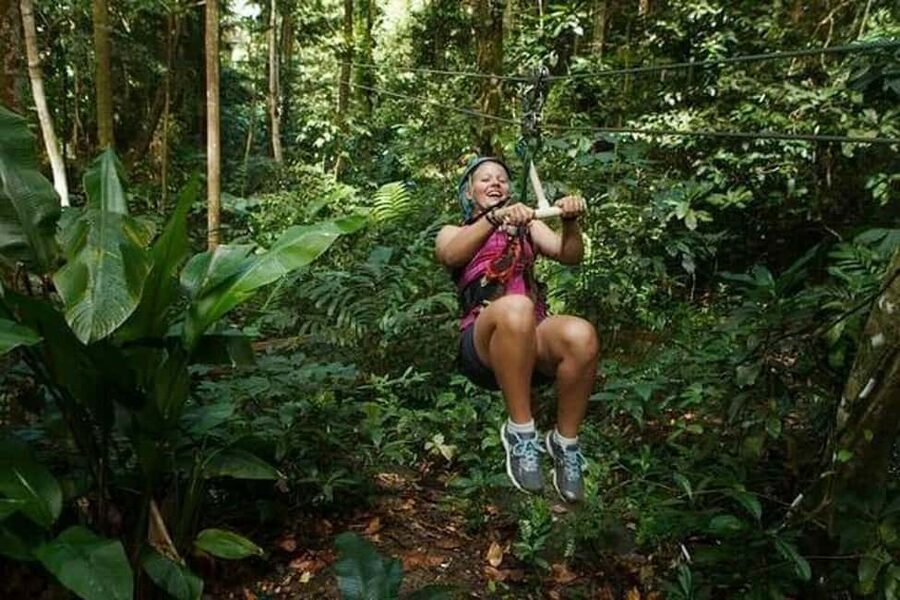 Babonneau/Castries: Rainforest Zip Line, Tram, and Hike Tour - Where the tour starts: Chassin Babonneau and Castries Waterworks Reserve