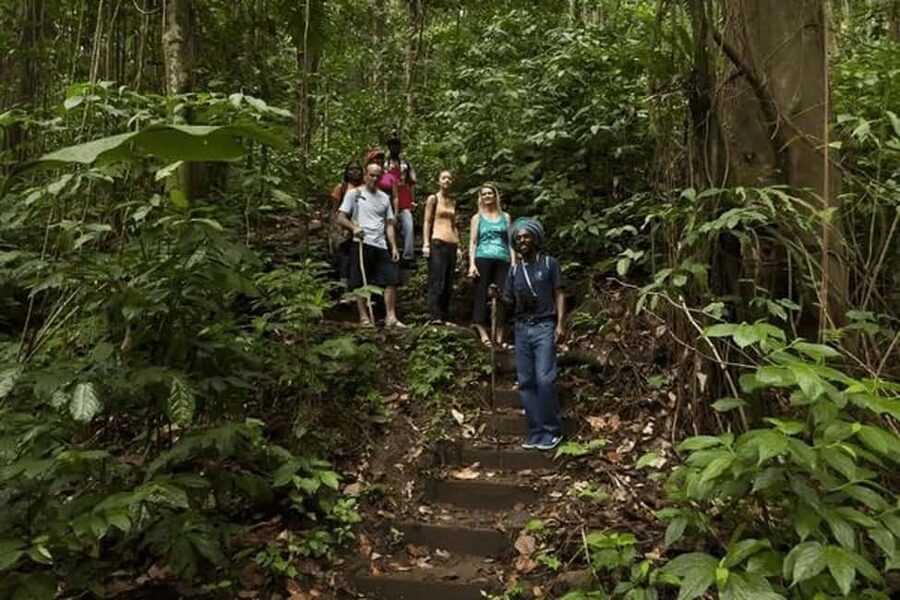 Babonneau/Castries: Rainforest Zip Line, Tram, and Hike Tour - Your 4-hour rhythm: tram calm, zip line speed, then a rainforest hike