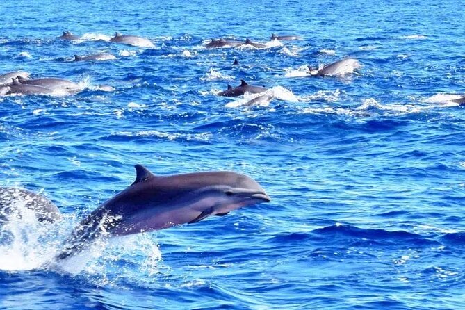 Best Of Full-Day Snorkeling & Beach Excursion with lunch & drinks - Soufriere snorkeling: coral garden and turtle reef time