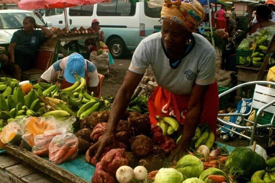 Castries: Guided City Architecture and Castries Market Tour - Castries Central Market and Vendors Arcade, shopping with local texture