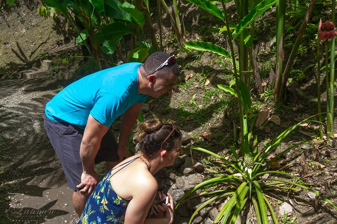 Couples Private St. Lucia Highlights Tour - Eudovic’s Art Studio, wood carvers, and a souvenir with meaning