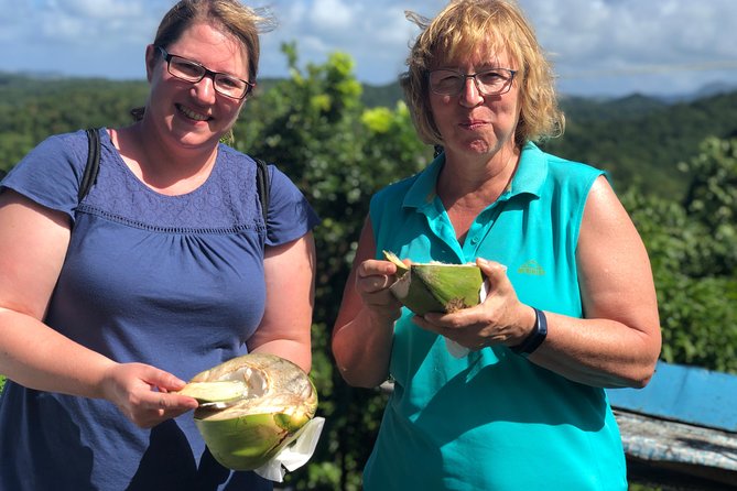 Cruise Excursions in St. Lucia - Diamond Falls Botanical Gardens and a Tropical Walk