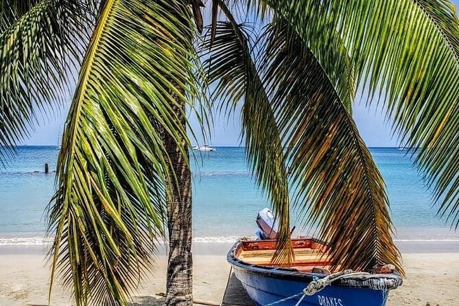 Cruise Port and Airport Arrival Transfers to Hotels in St. Lucia. - Should you book Amazona Airport Transfers for your St Lucia stay?