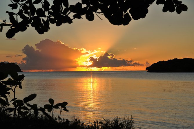 Cruise Sunset Party in Castries - Drinks and snacks: champagne, rum punch, and finger-food reality