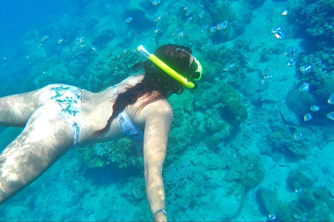 Dash and Splash Snorkel Adventure St Lucia - What you can expect to eat and drink onboard