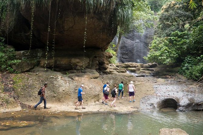 Day of Adventure - Zipline and Hike or Bike - The 12-line rainforest zipline: speed, height, and lots of steps
