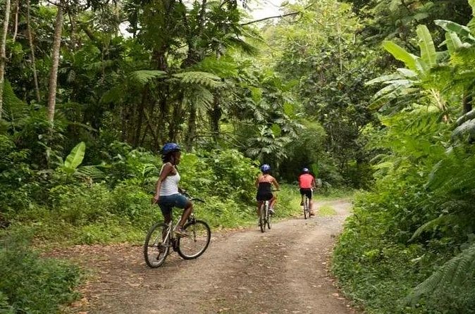 Day of Adventure - Zipline and Hike or Bike - Errard Waterfall: the island’s highest accessible finish