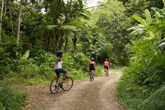 Day of Adventure - Zipline and Hike or Bike - Who should book this zipline and Errard Waterfall adventure