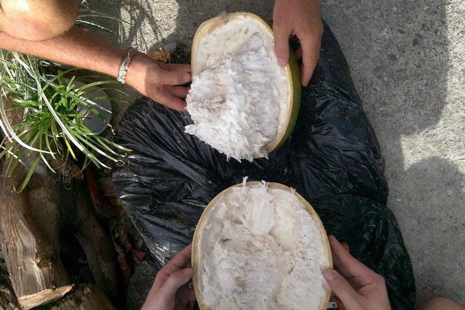 DIY Craft Your Own wooden Bowl : from a calabash fruit! - Should You Book a DIY Calabash Bowl From St Lucia?