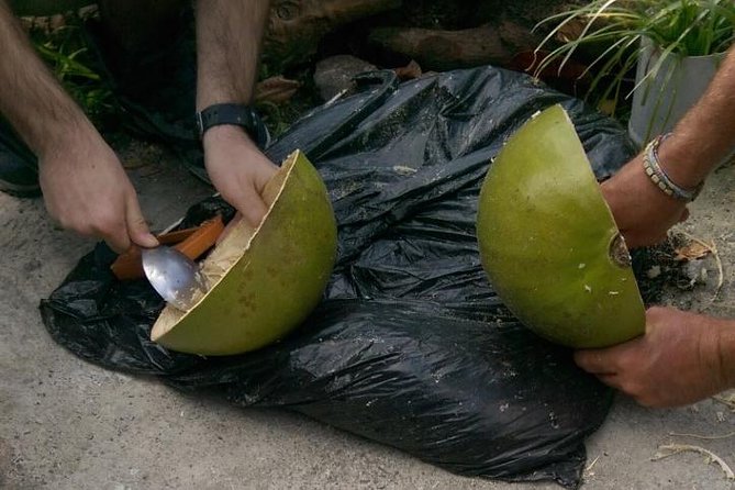 DIY Craft Your Own wooden Bowl : from a calabash fruit! - Choosing Calabash on a Quiet St Lucia Beach