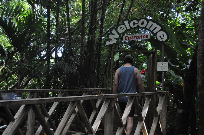 Drive and Fly - Buggy and Zipline - Price and value: what you’re paying for at $225 per person