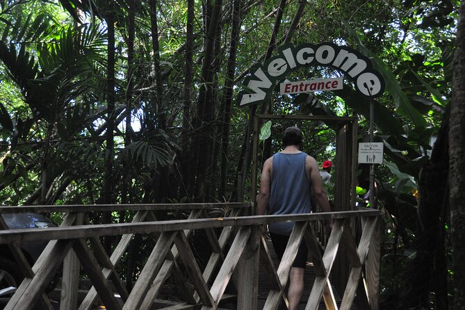 Drive and Fly - Buggy and Zipline - Who should book this tour, and who might think twice