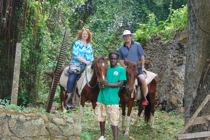 East Coast Horseback Riding & Waterfall Excursion - Key things that make this ride worth your time
