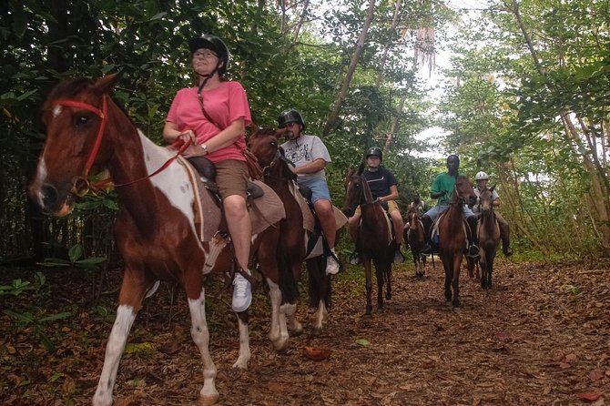 East Coast Horseback Riding & Waterfall Excursion - Fond dOr Bay trail: ruins, turtle beach, and jungle edges