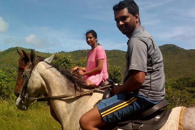 East Coast Horseback Riding & Waterfall Excursion - Stable snacks and the coconut moment you will remember