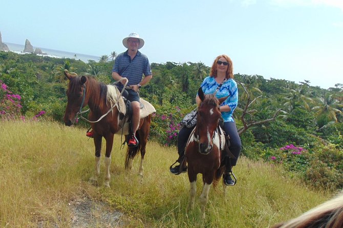 East Coast Horseback Riding & Waterfall Excursion - Horse comfort and riding pace: beginners can go, but terrain changes everything