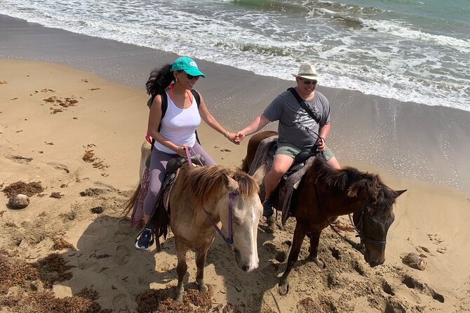 East Coast Horseback Riding, Waterfall & Soufriere Private Tour - Who this tour suits best in St Lucia