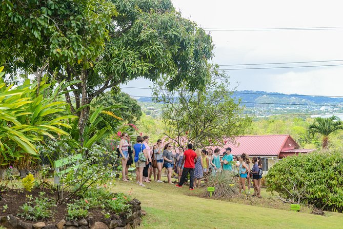 Essence of St Lucia Heritage Experience - Greenwood Terrace and the Plant Walk: what the garden really teaches