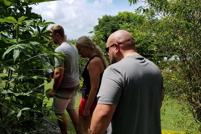 Essence of St Lucia Heritage Experience - Tips to get more from Greenwood Terrace and the tasting