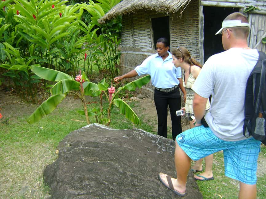 From Castries: Full-Day Catamaran Tour to Soufriere - Morne Coubaril Estate: Creole buffet lunch you’ll actually remember
