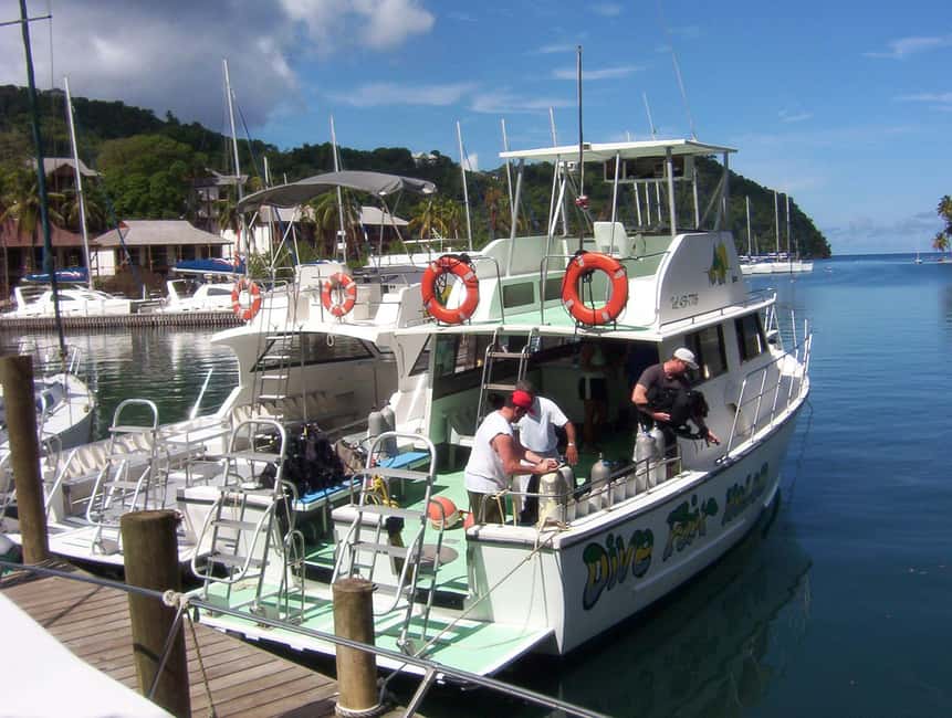 From Castries: St. Lucia Scuba Diving Excursion - Marine reserve rules and why they matter to you