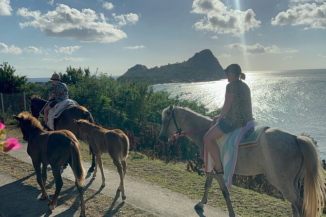 Gros Islet Village Horseback Riding run with Dore's riding Stable - Getting Started: Cap Estate Meeting Point and Your First Steps on Horseback