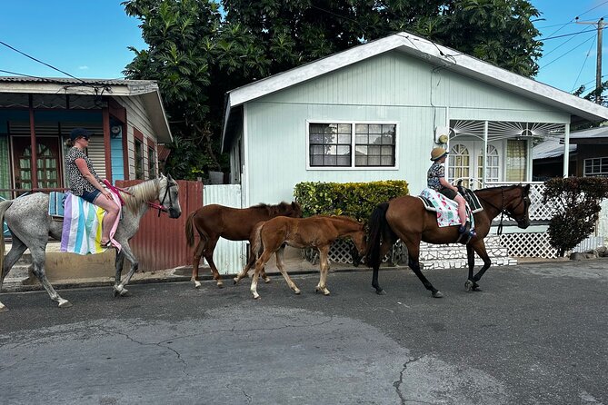 Gros Islet Village Horseback Riding run with Dore's riding Stable - Gros Islet Village and the Friday Night Street Party Feel