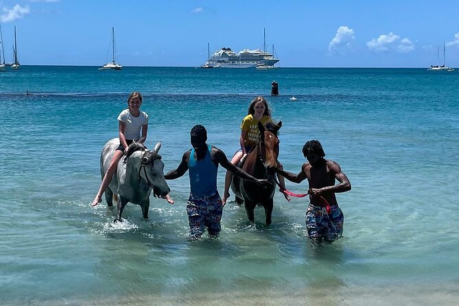 Gros Islet Village Horseback Riding run with Dore's riding Stable - The Coastal Ride Down: Villas, Big Views, and Pigeon Pointe Beach