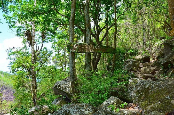 Gros Piton Hike St Lucia - The Half-Way Viewpoint That Changes the Mood