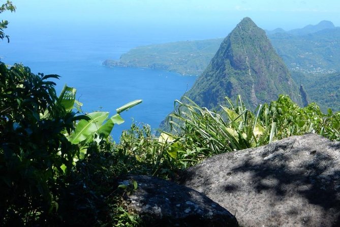 Gros Piton Hike with Dannyboy & Co. - Timing and Pickup: The 15 to 30 Minute Waiting Window