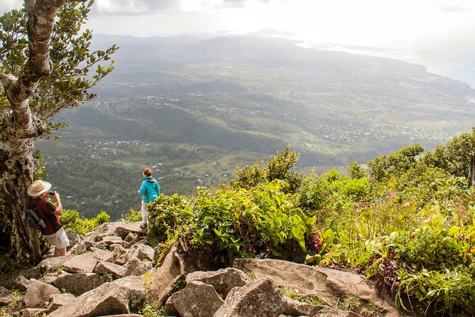 Gros Piton Hiking Adventure - Key Highlights You’ll Actually Care About