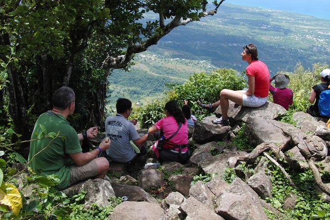 Gros Piton Hiking Adventure - The Summit Push: When It Becomes Strenuous