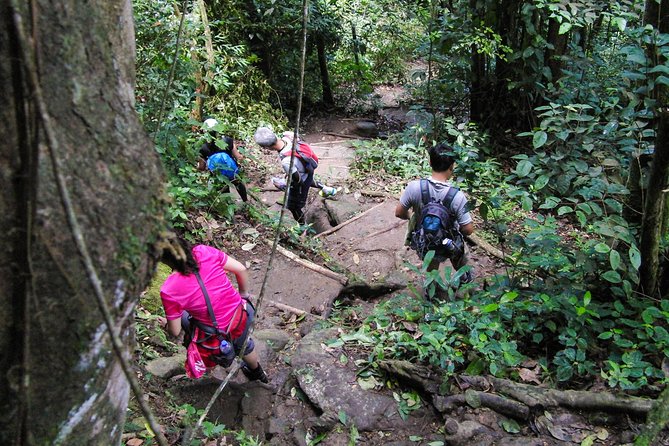 Gros Piton Hiking Adventure - The 7:00 am Coach Ride and Fond Gens Libre Stop