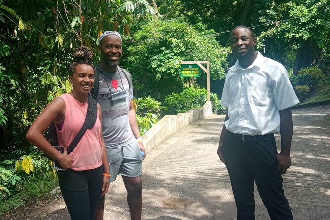 Gros Piton Nature Trail Private Hike - Gros Piton Nature Trail: the payoff is the view
