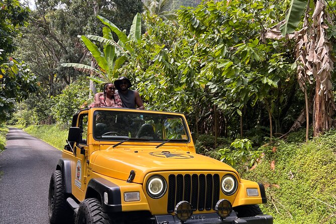 Half Day Private Tour in St. Lucia Jeep Wrangler - Key highlights you’ll care about