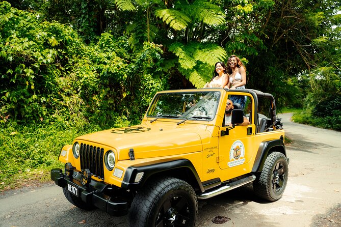 Half Day Private Tour in St. Lucia Jeep Wrangler - Private one-on-one guidance, the part you pay for