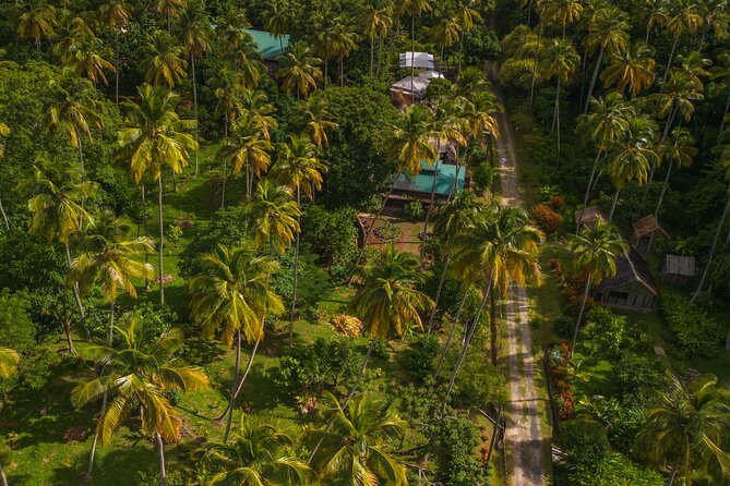 Historical 18th Century Estate Tour with Coconut Tasting - Cocoa and coffee house stops: fermentation, drying, and bean tasting