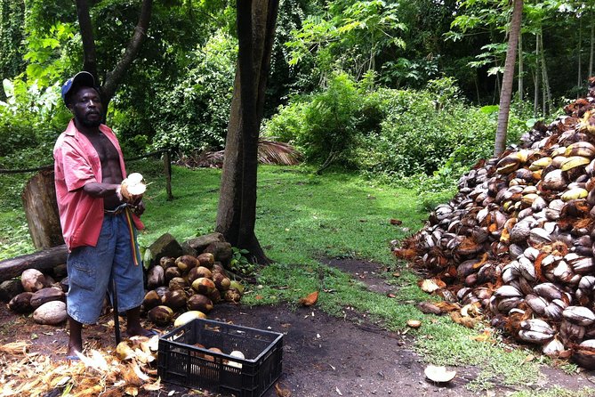 Historical 18th Century Estate Tour with Coconut Tasting - The sugar cane mill and fresh cane juice break