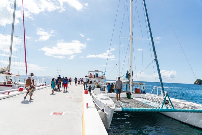 Hop & Drop Soufriere Transfer - Price and Value: What $88 Really Covers