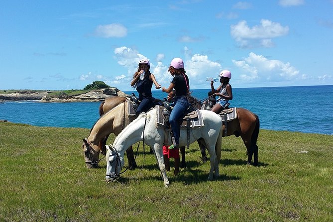 Horseback Riding Adventure Tour in St. Lucia - Key things to know before you ride