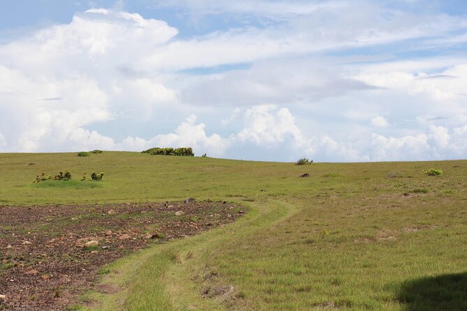 Horseback Riding Adventure Tour in St. Lucia - Two Beach Runs, Canter Options, and a Real Water Moment