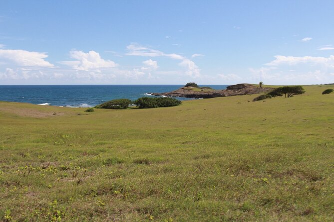 Horseback Riding Adventure Tour in St. Lucia - How Long It Takes, and What That Means for Your Day