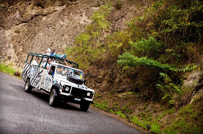 Jeep & Zip Safari St. Lucia From Castries - Island Appetizers and Atlantic Ocean Photo Moments